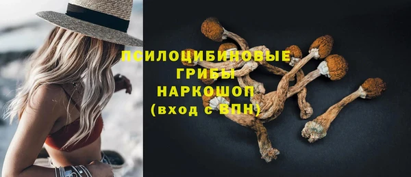 PSILOCYBIN Алзамай