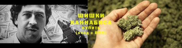 PSILOCYBIN Алзамай