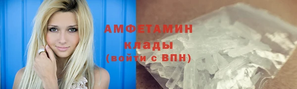 PSILOCYBIN Алзамай