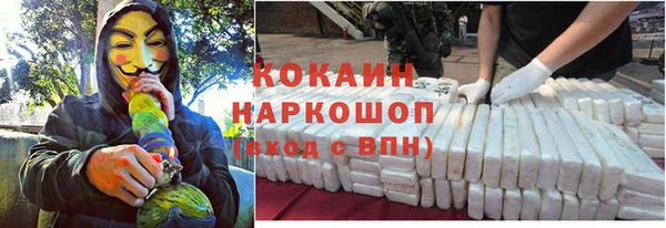 PSILOCYBIN Алзамай
