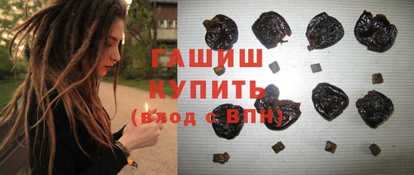 PSILOCYBIN Алзамай